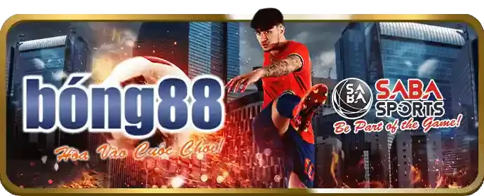 Quy trình đặt cược và theo dõi trận đấu trực tiếp tại bj88